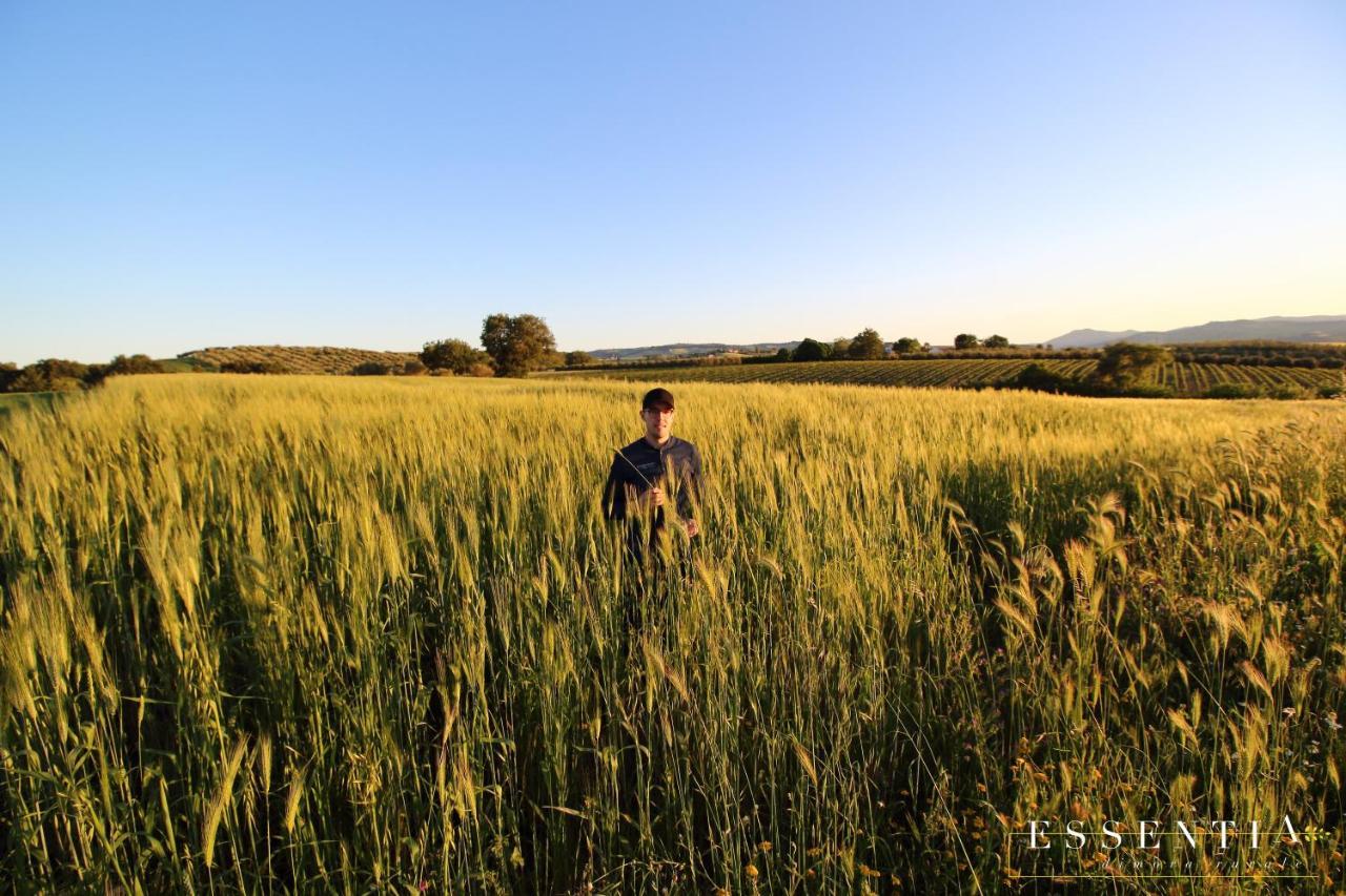 Agriturismo Essentia Dimora Rurale Larino Dış mekan fotoğraf