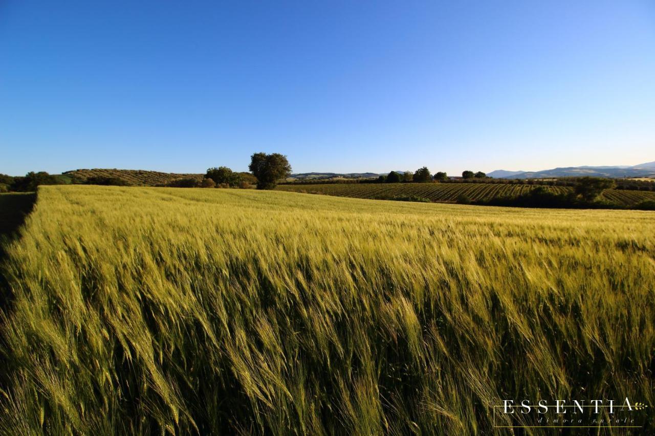 Agriturismo Essentia Dimora Rurale Larino Dış mekan fotoğraf