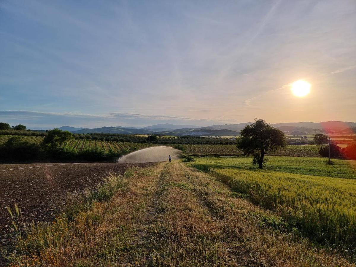 Agriturismo Essentia Dimora Rurale Larino Dış mekan fotoğraf
