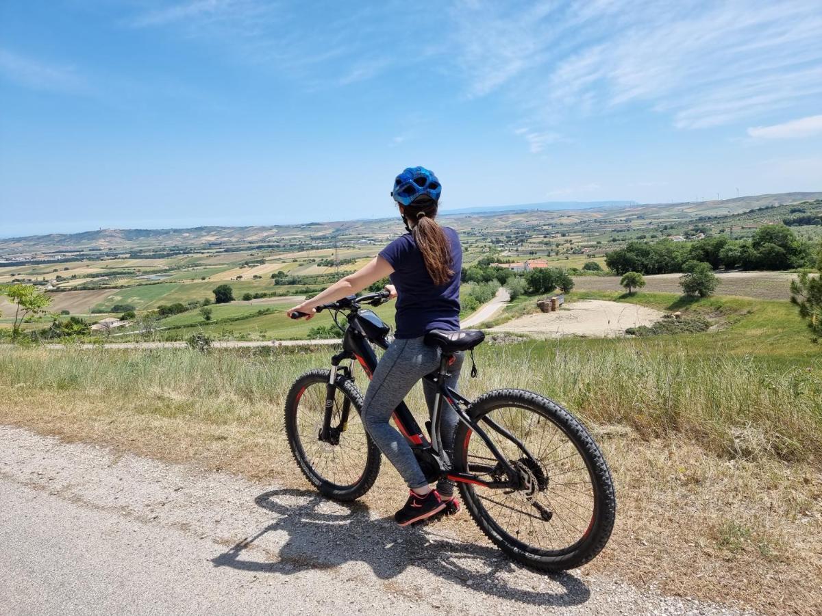 Agriturismo Essentia Dimora Rurale Larino Dış mekan fotoğraf