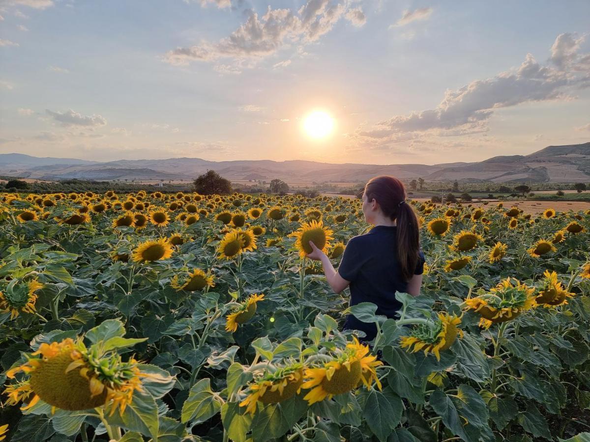 Agriturismo Essentia Dimora Rurale Larino Dış mekan fotoğraf