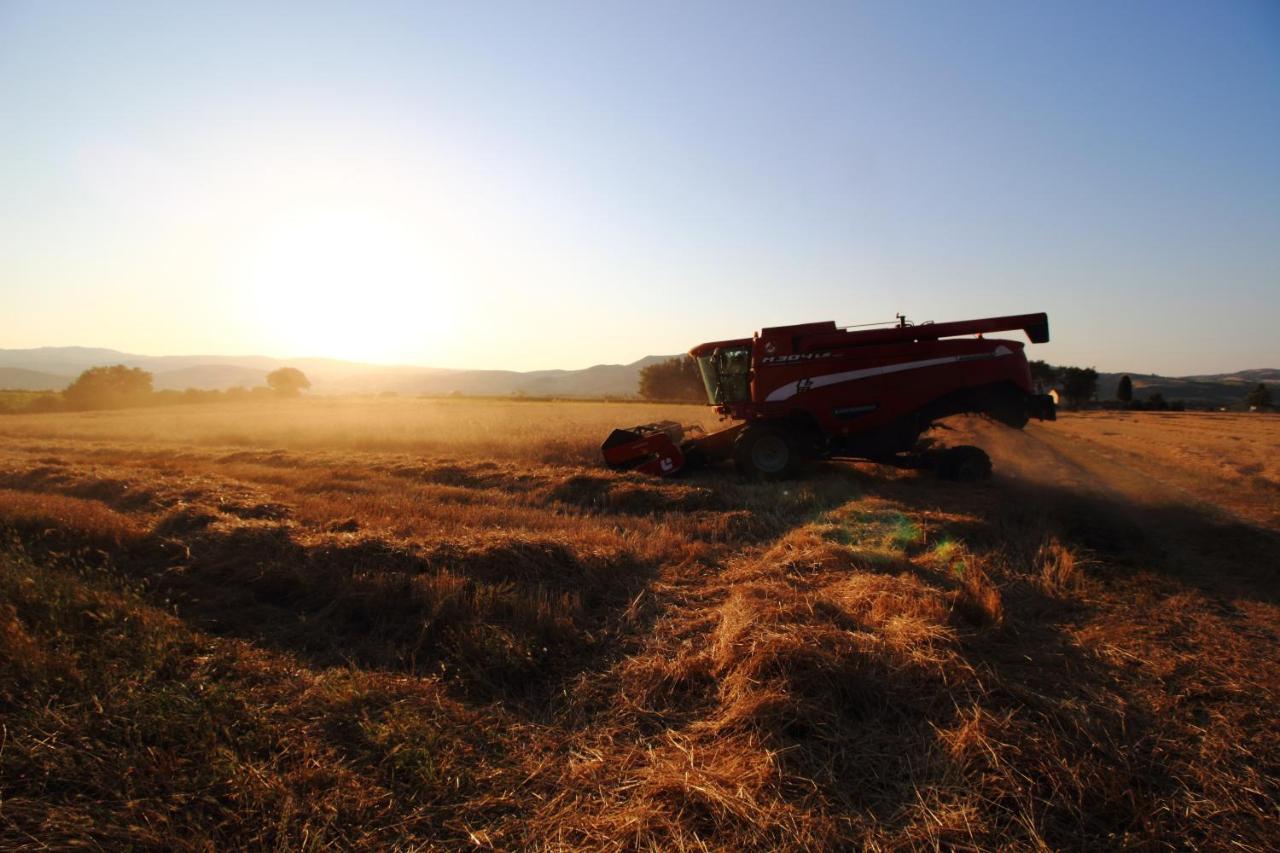 Agriturismo Essentia Dimora Rurale Larino Dış mekan fotoğraf