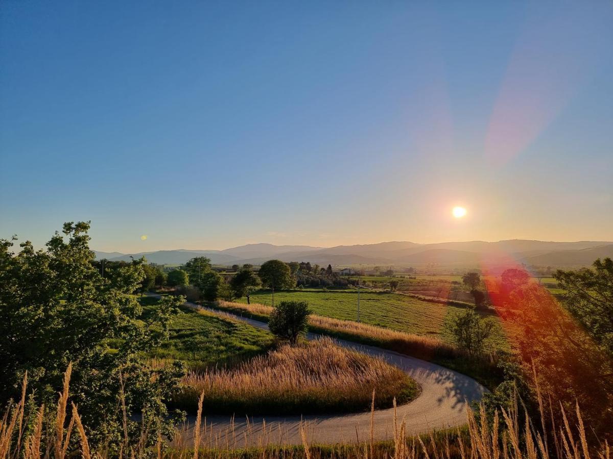 Agriturismo Essentia Dimora Rurale Larino Dış mekan fotoğraf