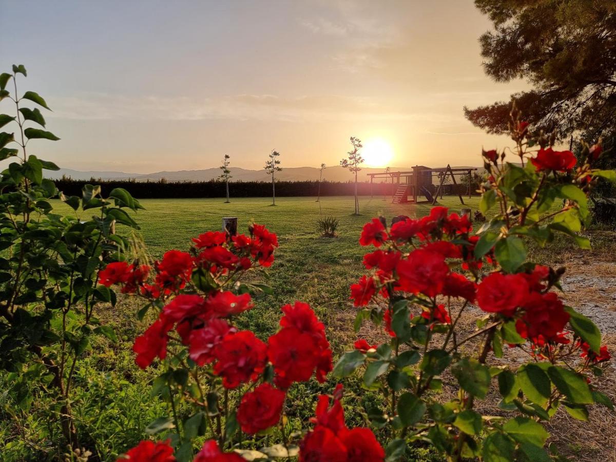 Agriturismo Essentia Dimora Rurale Larino Dış mekan fotoğraf