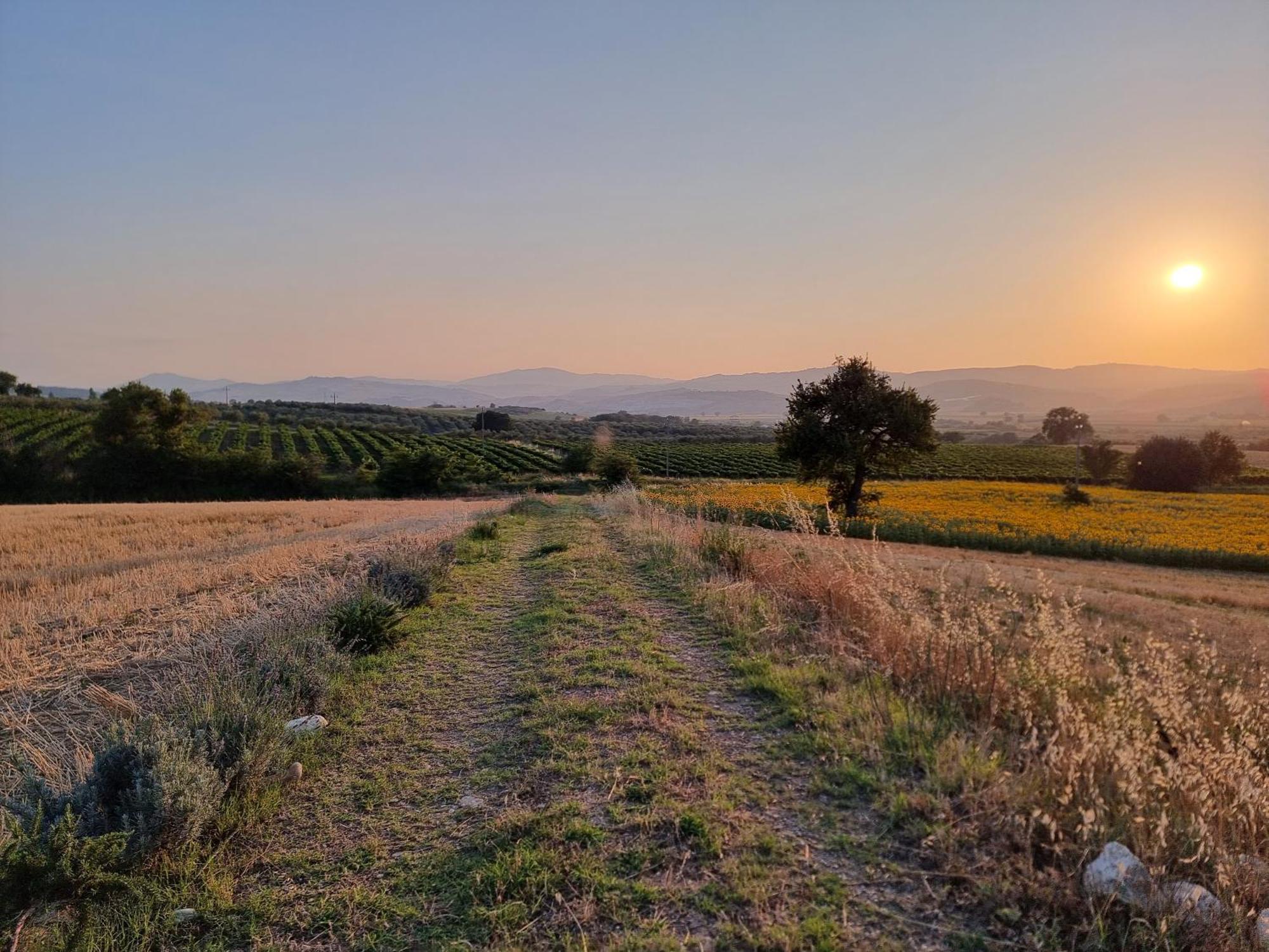 Agriturismo Essentia Dimora Rurale Larino Dış mekan fotoğraf