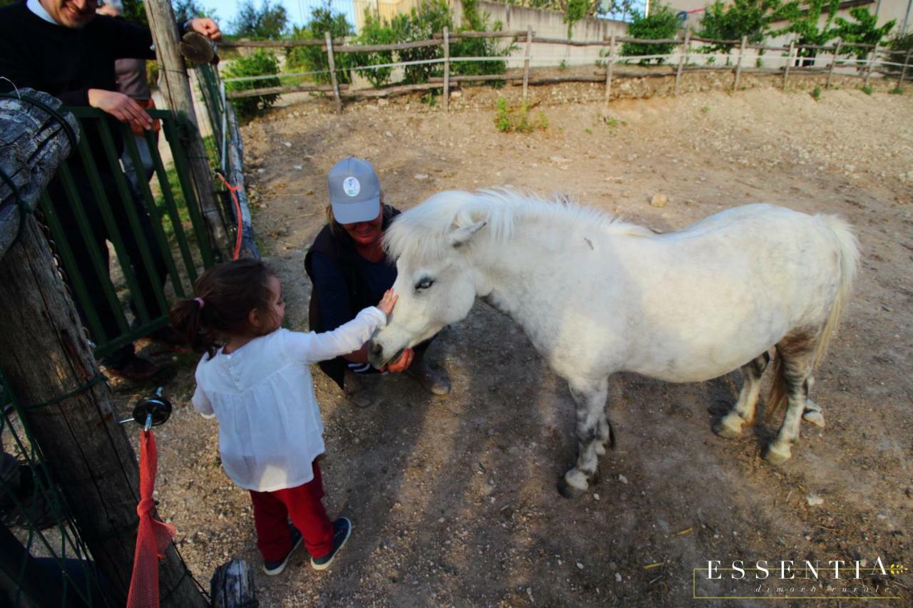 Agriturismo Essentia Dimora Rurale Larino Dış mekan fotoğraf